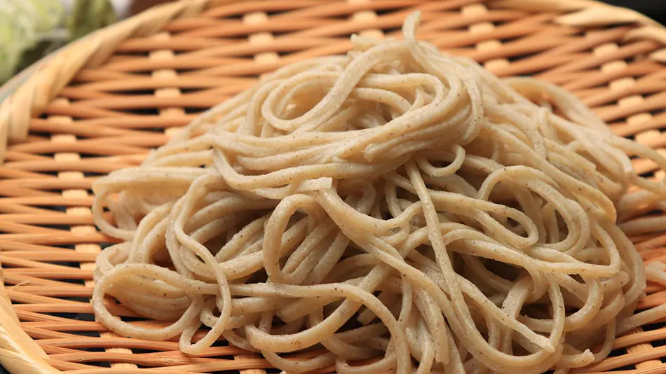 Toyasa