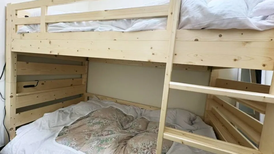 BIRDLAND