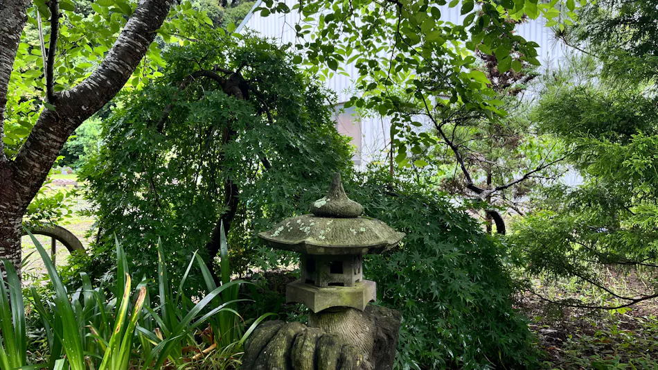 Owl Residence