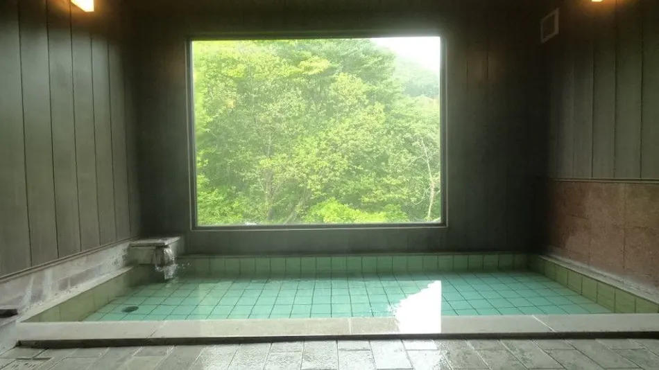 Onsen Hotel Ootori