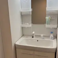 Bathroom vanity with shampoo sink (shampoo dresser)