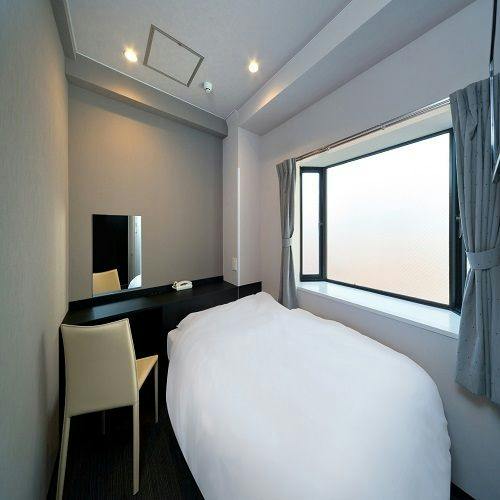 THE HOTEL SHINBASHI