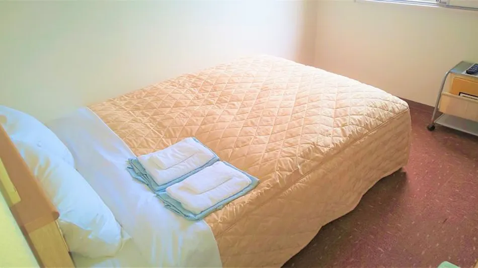 Saijo Station Hotel