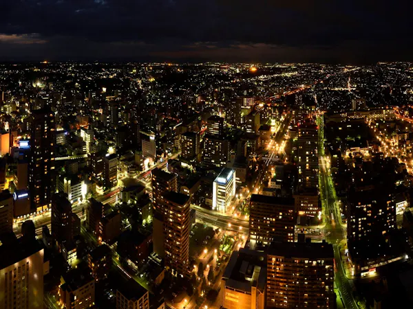 SAVER シンプルステイ<素泊まり>~JR浜松駅隣り、眺望と夜景が人気のホテル~
