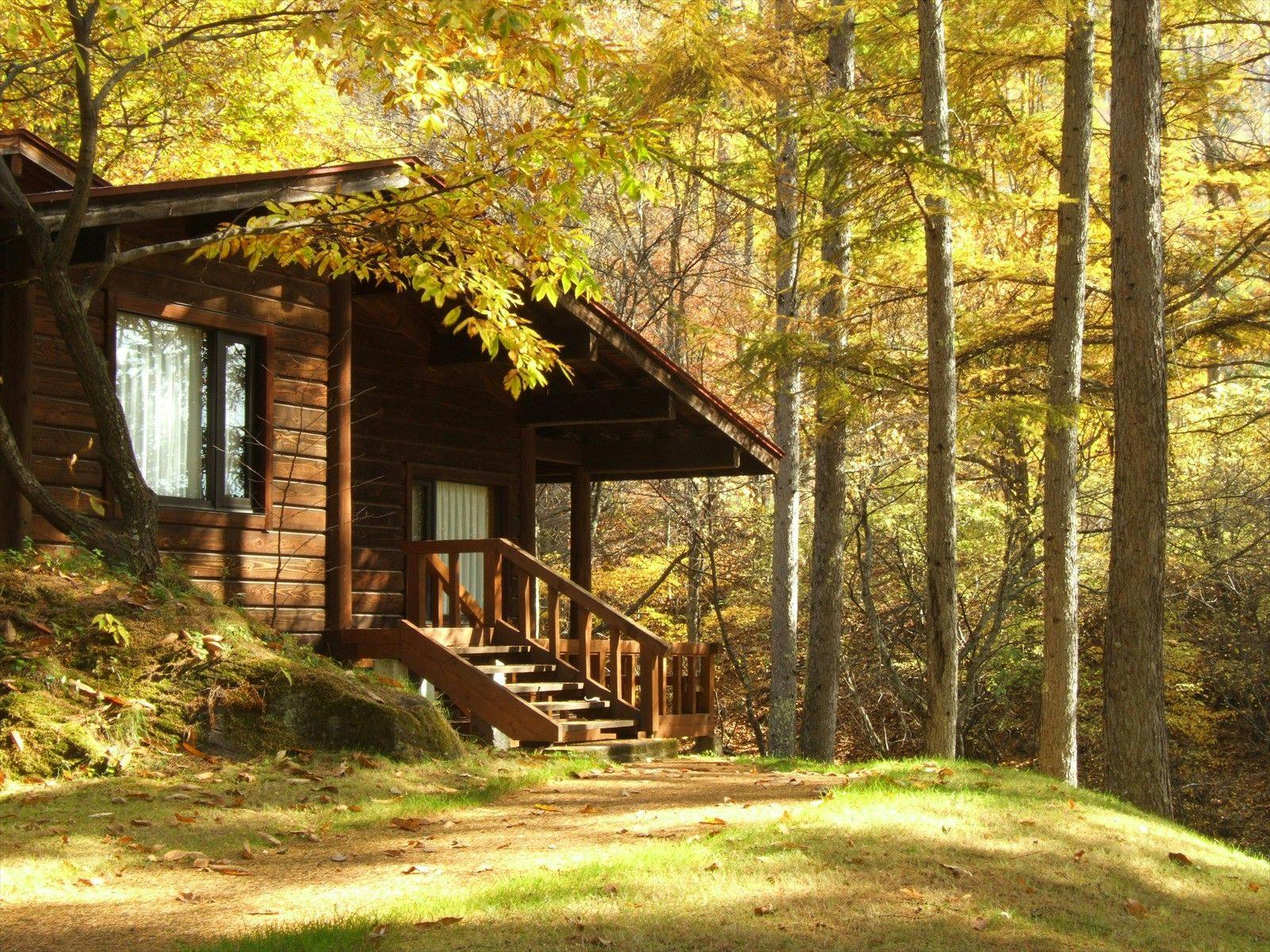 秋のコテージエリア