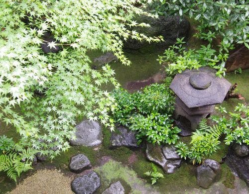 本館10帖＋控えの間タイプ　イメージ