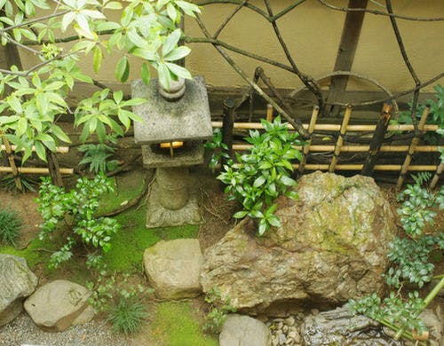 本館8帖＋控えの間　坪庭の眺め