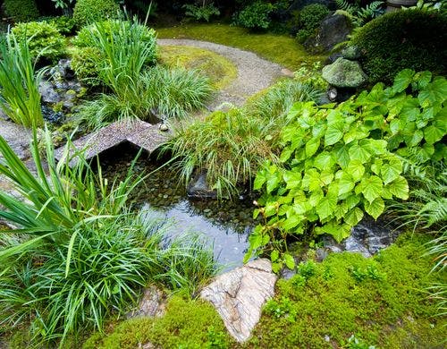 本館 特別室15帖＋14帖 イメージ