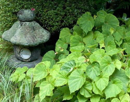 本館 特別室15帖＋14帖 イメージ