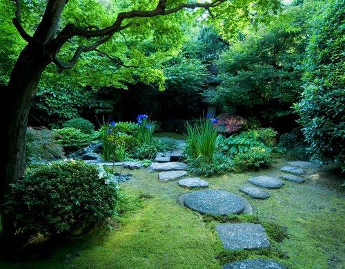 本館 特別室15帖＋14帖 イメージ