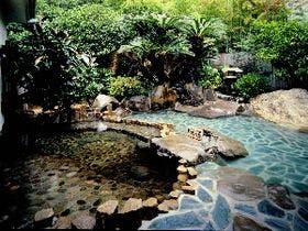 土肥温泉の庭園旅館 玉樟園新井