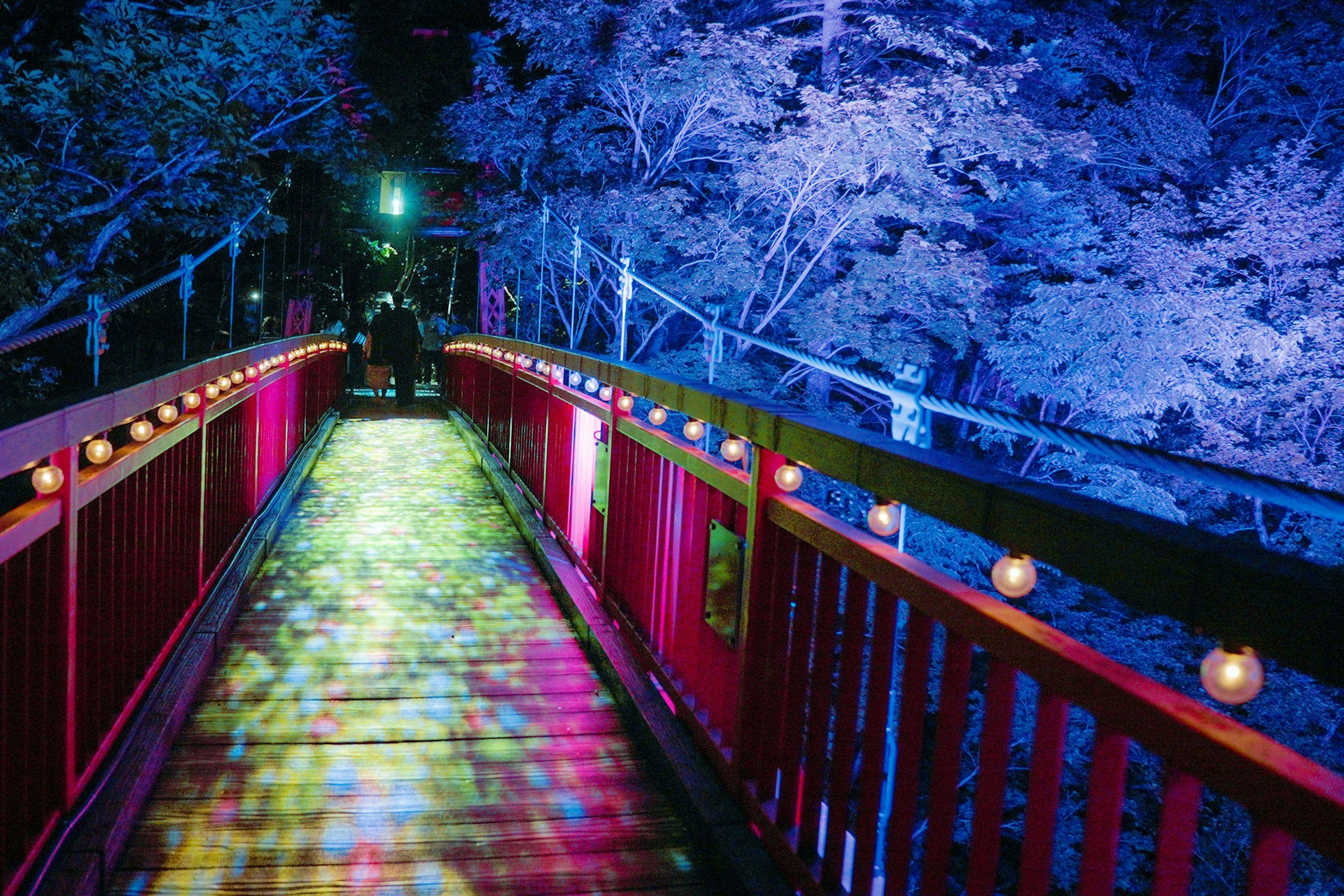 【定山溪自然灯光秀】