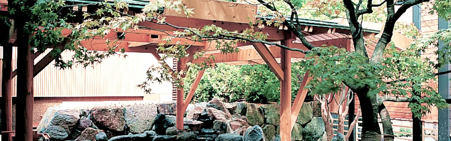 定山渓 花もみじ
