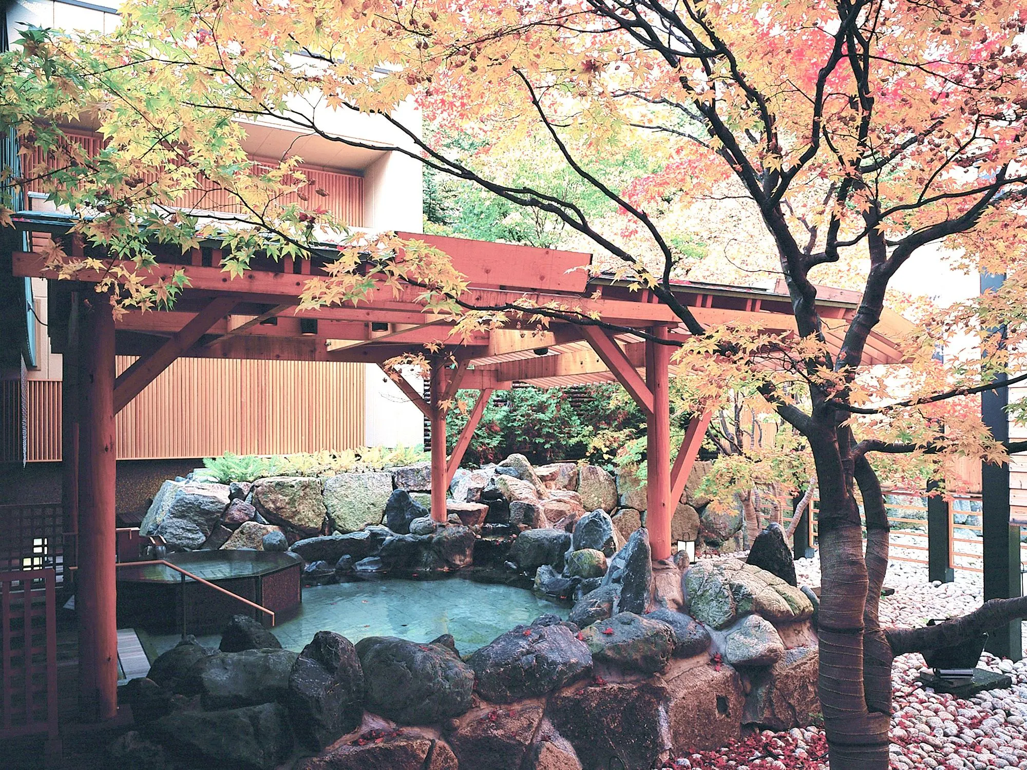 定山渓 花もみじ
