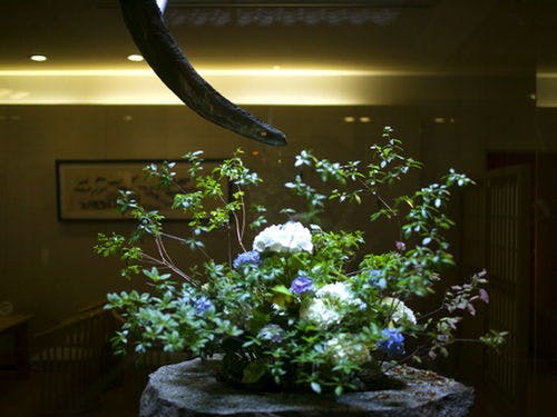 ■館内イメージ■