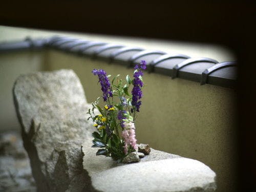 ■館内イメージ■