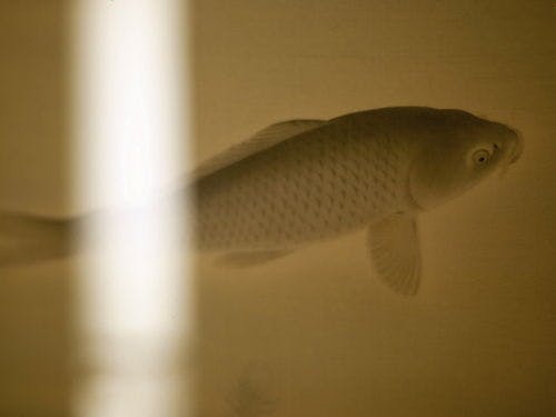 ■館内イメージ■