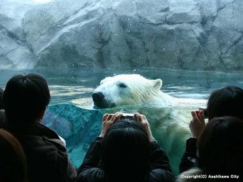 แผนสวนสัตว์