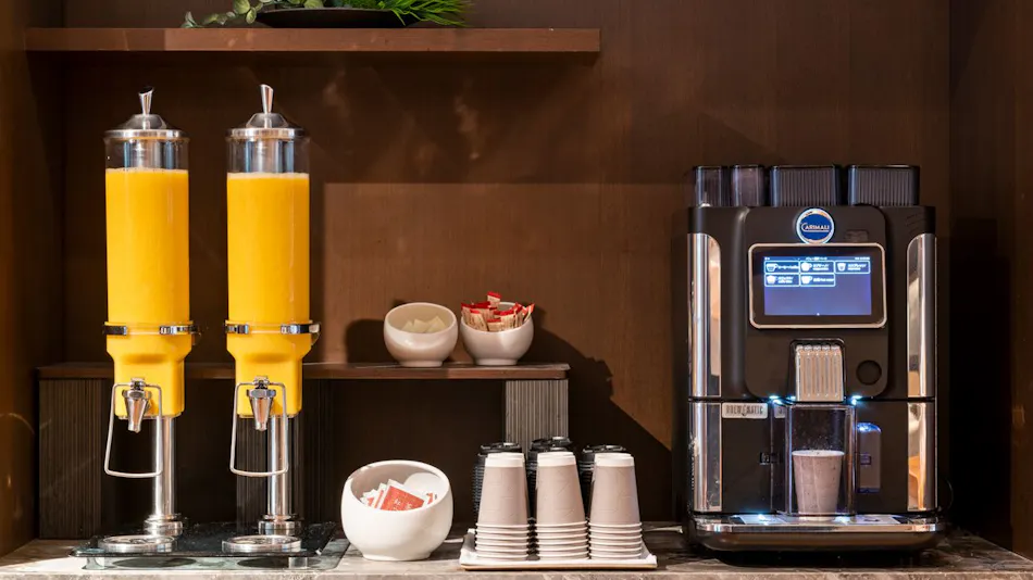Hotel The Celestine Tokyo Shiba