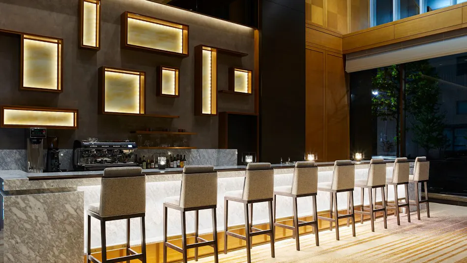 Hotel The Celestine Tokyo Shiba