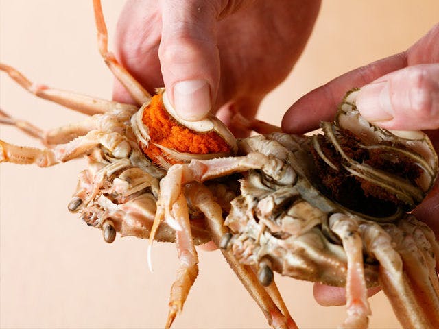 瑠璃光