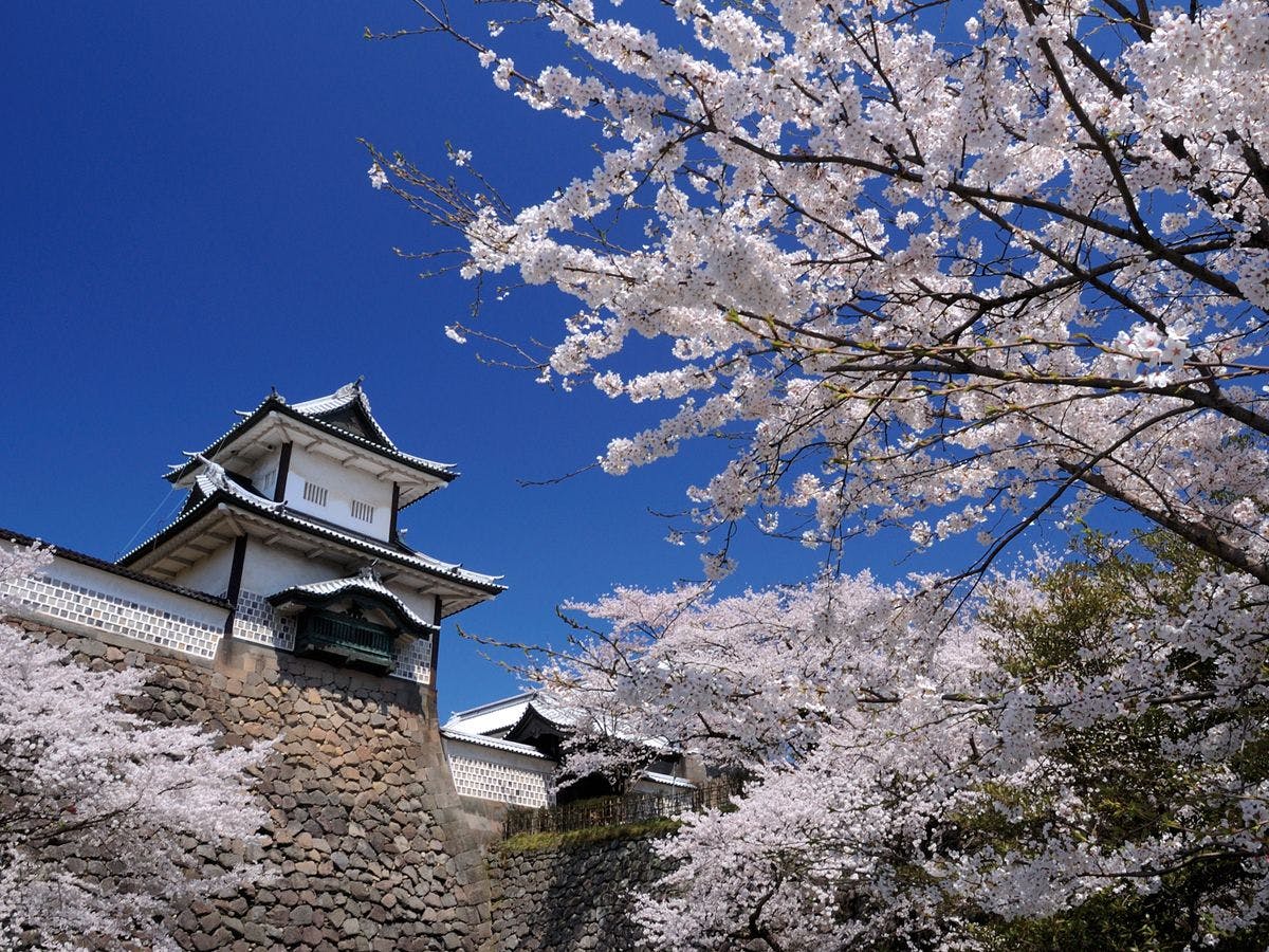 春の金沢城（車で60分）