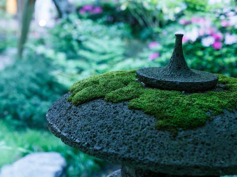 瑠璃光