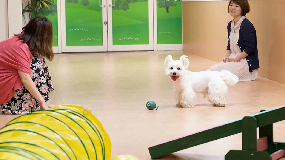 Grand Prince Hotel Shin Takanawa