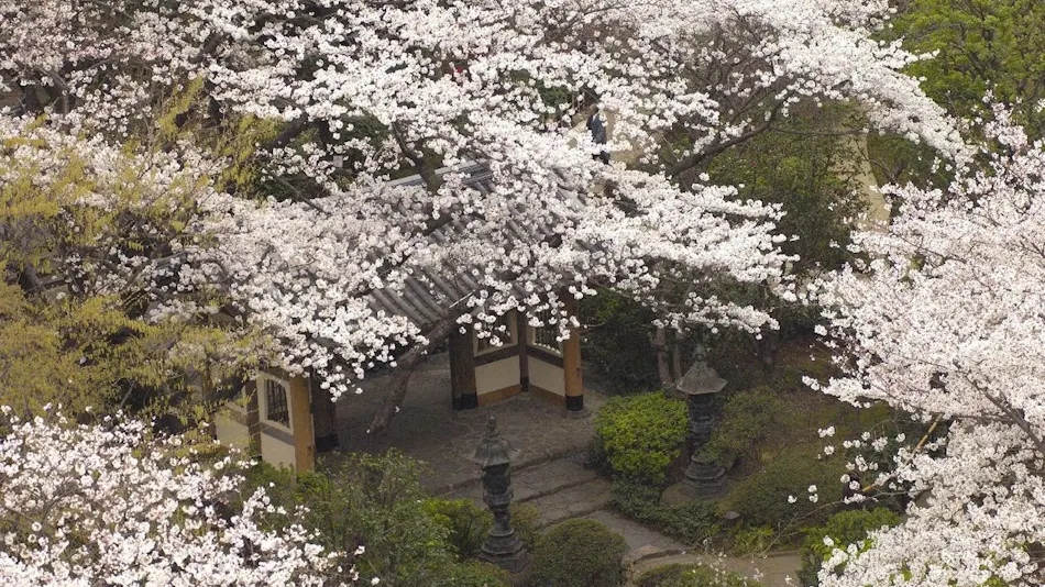 Grand Prince Hotel Shin Takanawa