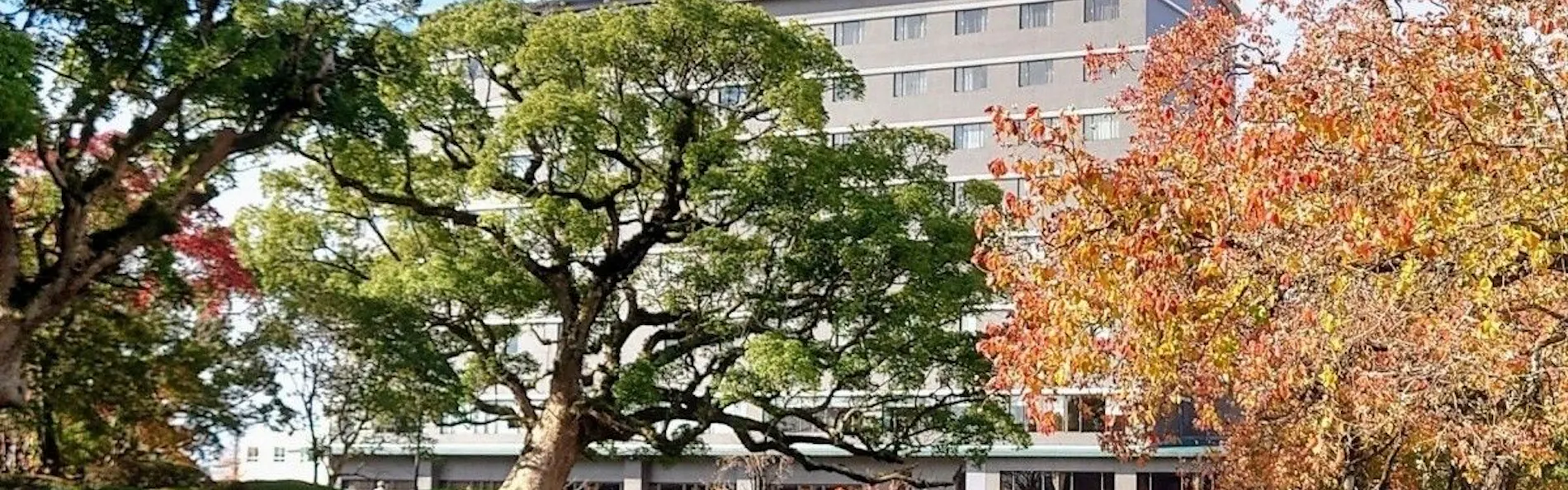 ホテルニューオータニ佐賀