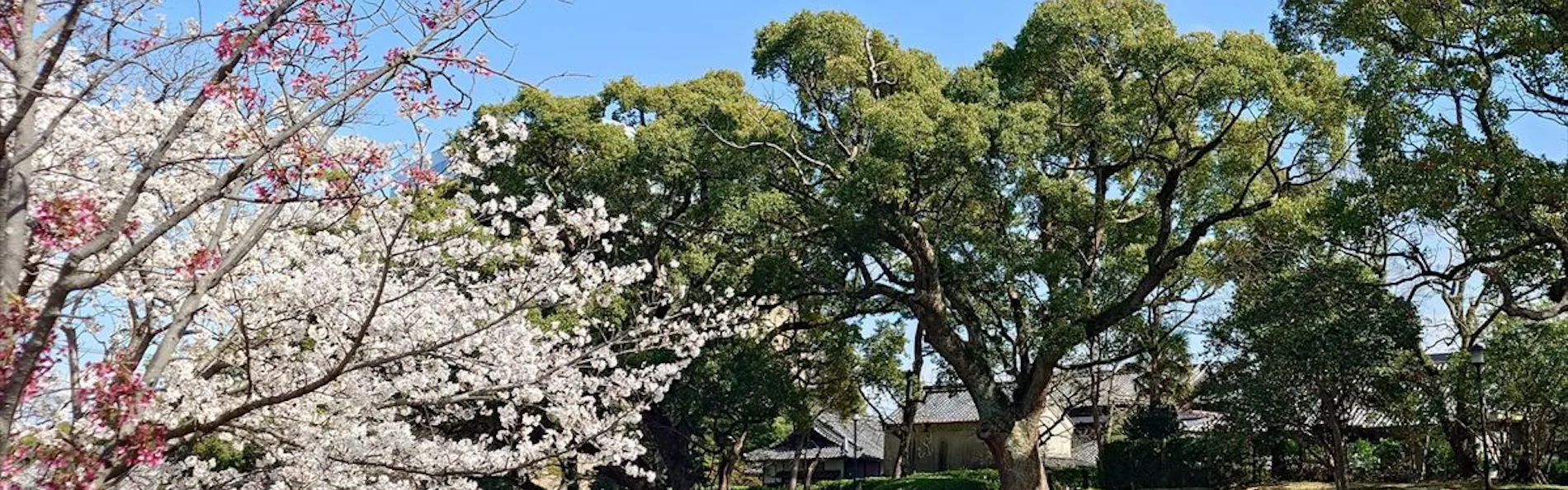 ホテルニューオータニ佐賀