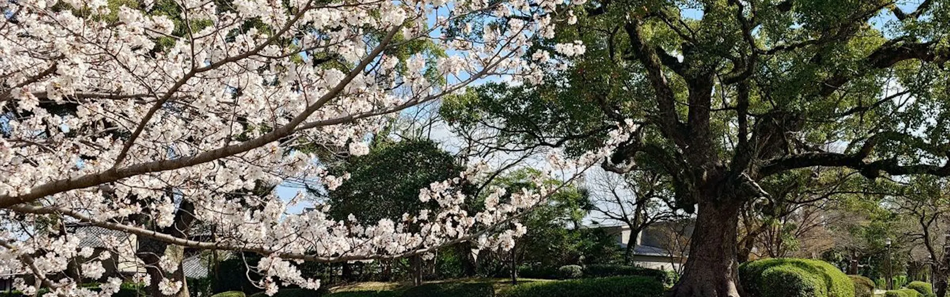 ホテルニューオータニ佐賀