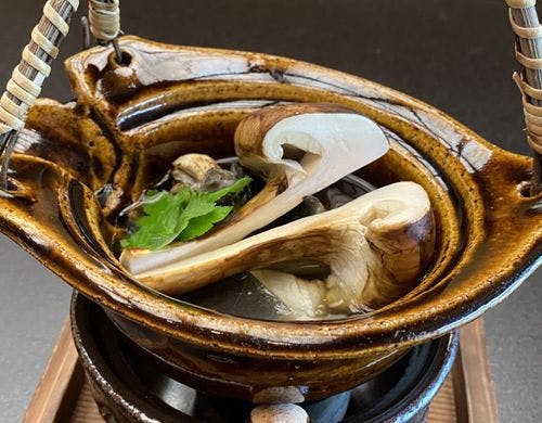 秋の味覚「松茸」