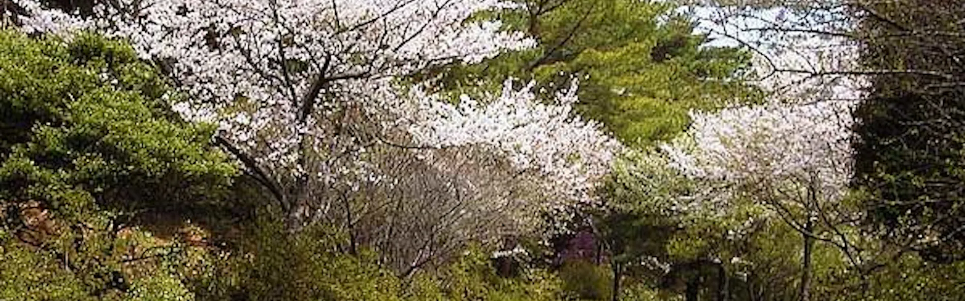 葛城北の丸