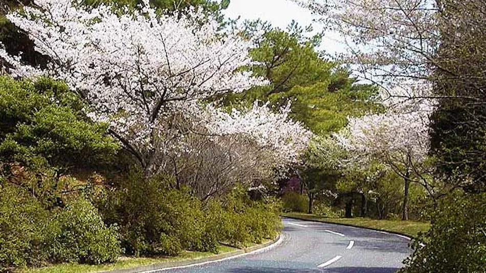 Katsuragi Kita no Maru