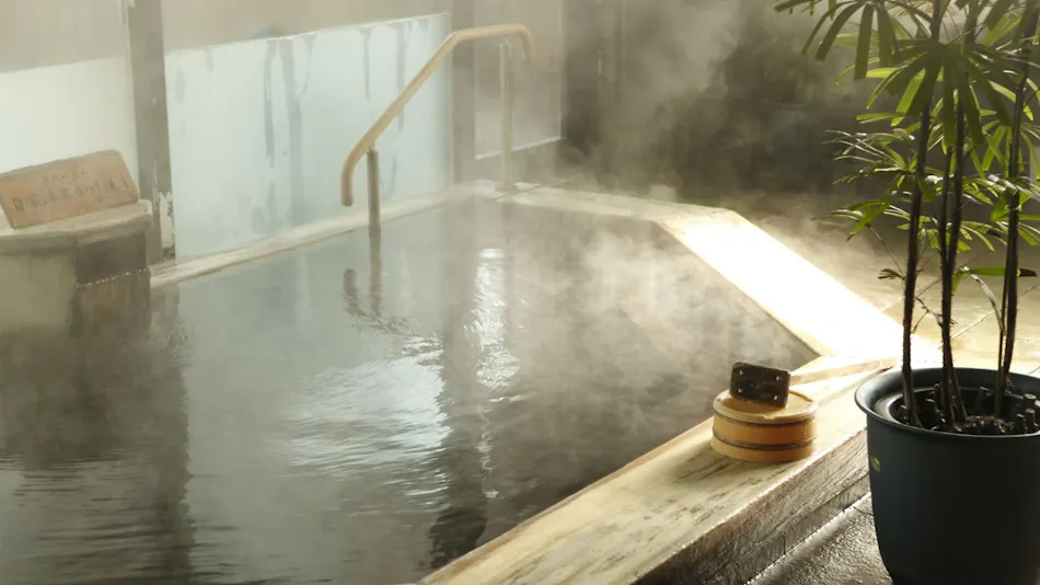 Wellness Forest Nasu (Kyoritsu Resort)