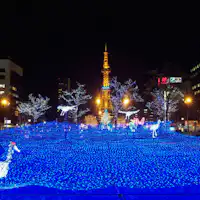 冬の大通公園 イルミネーション