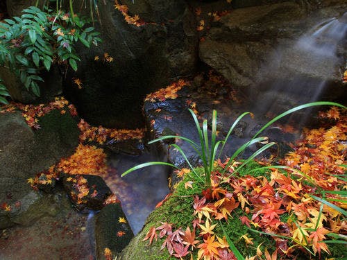 ทัศนียภาพโดยรอบ