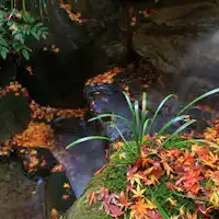 ทัศนียภาพโดยรอบ