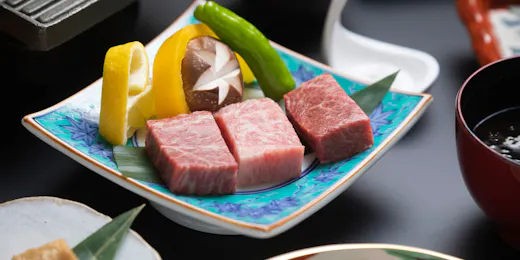 下呂温泉 湯之島館