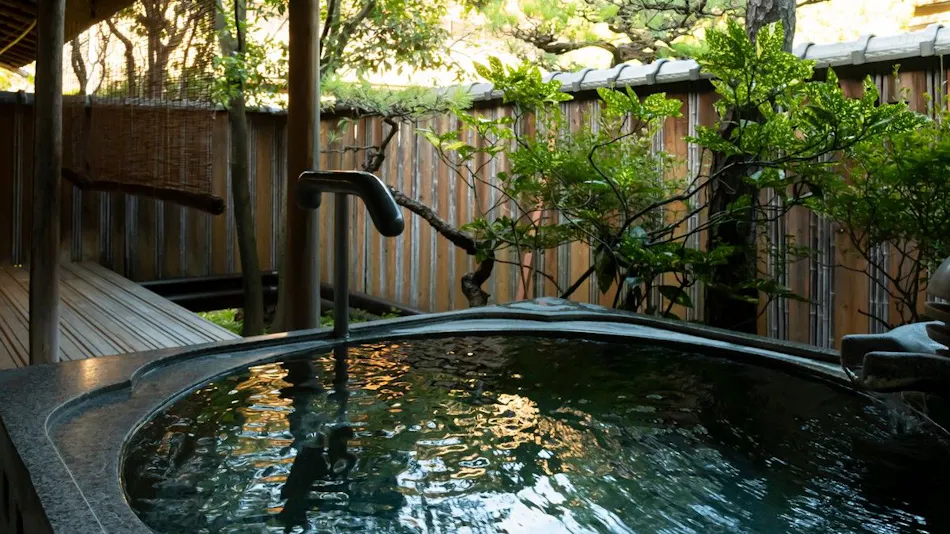 Shingen no Yu Yumura Onsen Tokiwa Hotel