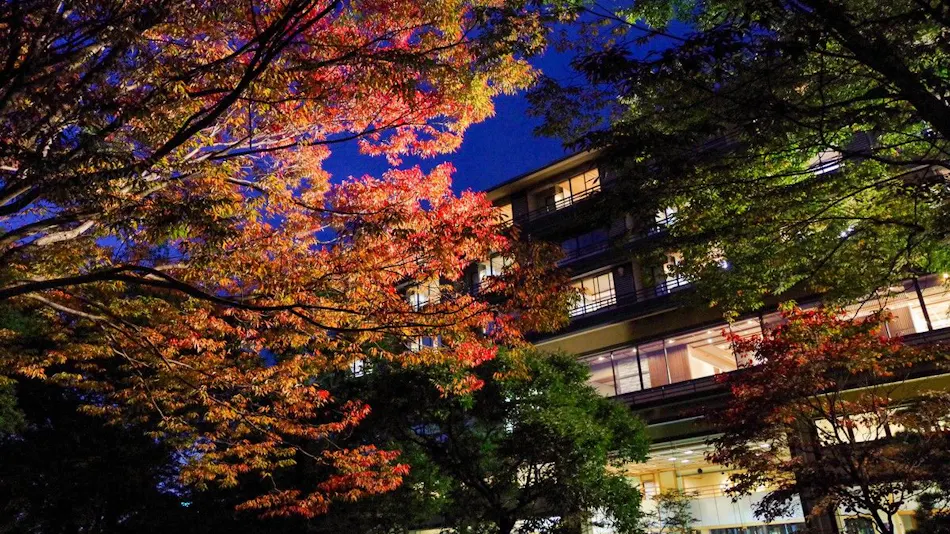Shingen no Yu Yumura Onsen Tokiwa Hotel