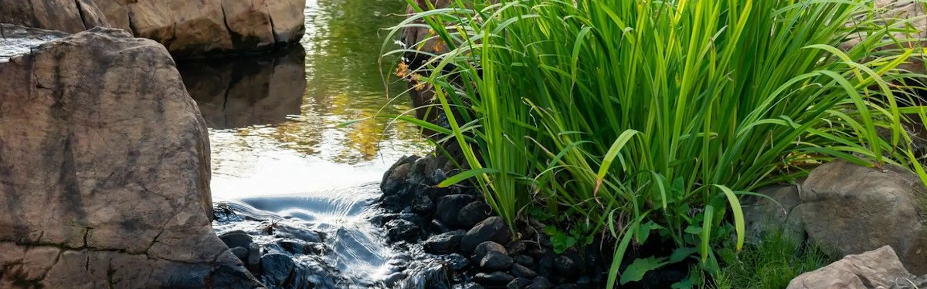 信玄の湯 湯村温泉 常磐ホテル