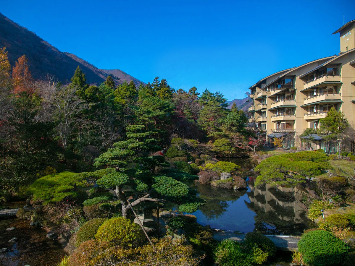 ผ่อนคลายพร้อมชมวิวสวน