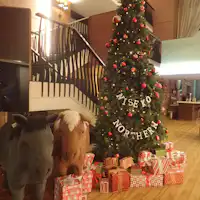 與小馬和聖誕老人一起慶祝吧♪