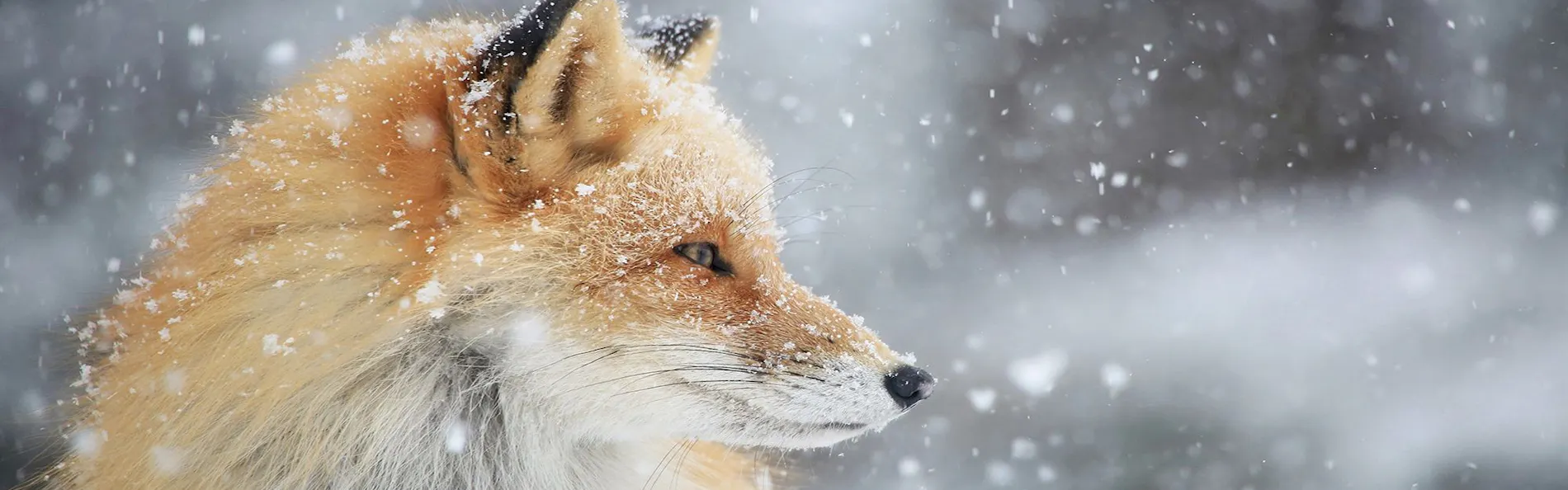 KIKI知床 ナチュラルリゾート