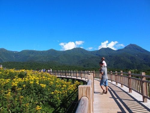 【Tourism】Shiretoko Goko Elevated Wooden Pathway