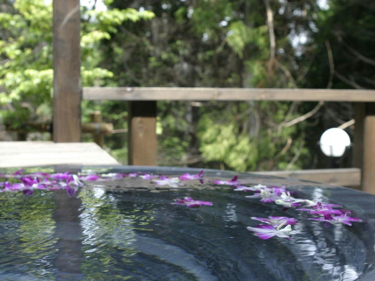 4大グルメを楽しむならコレ！【みかわ牛・アカザエビ】＆豪華に【あわび・伊勢海老】