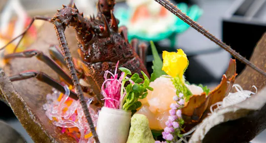 【2大海老の楽しさ】「アカザエビ」と「伊勢海老」の食べ比べ【お部屋食】