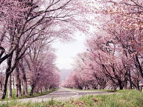 うらかわ優駿ビレッジAERU(アエル)